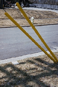 guide wire markers data wiring
